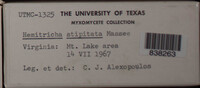 Image Associated With the Occurence